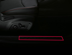 DOOR SILLS